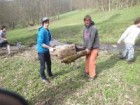Sklenářovice 2015 - z luk se odklízely i velké kusy dřeva, pařezy a popadané kmeny.