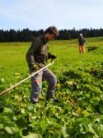 Mowing with scythe could sound very poetic, but working group doesn´t think the same.