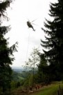Pomoc vrtulníku s odstraněním velkých stromů na mnoha nepřístupných místech.